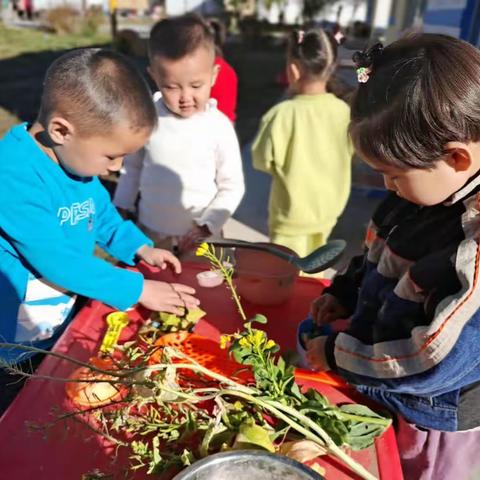 青河镇第二幼儿园小二班户外自主游戏——小厨房