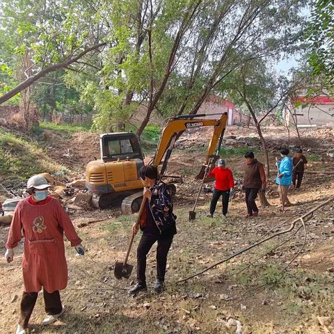 西高家寨村彻整坑塘，下大力，出效果!