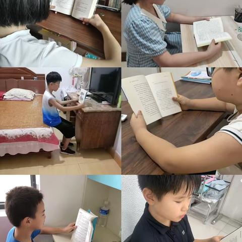 缤纷夏日勤实践 多彩时光正少年——文冠小学暑期读书体育生活（五）