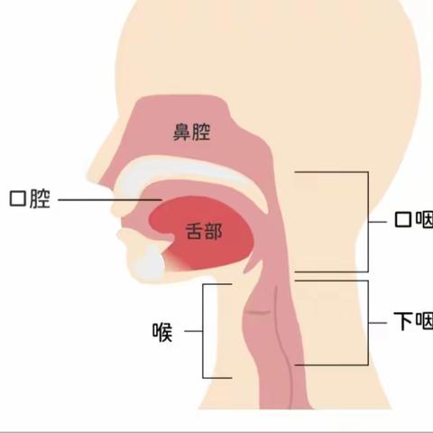 头颈部肿瘤的放射治疗~口咽癌