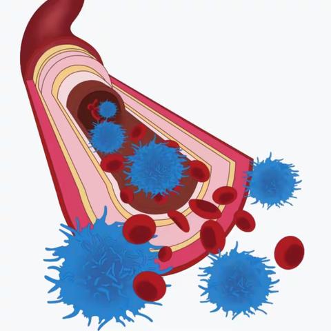 为什么血液也要“放疗”?