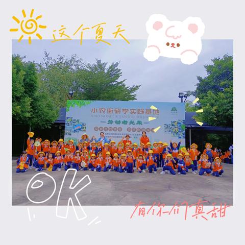 相约金秋，劳动最美——103班阳光实践活动