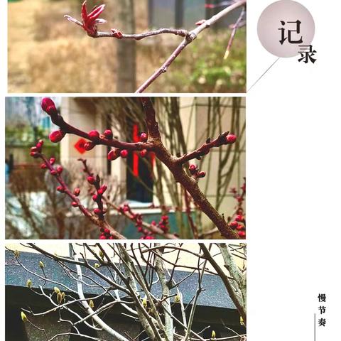 汉唐苑物业工作周报【2026.3.7--3.13】