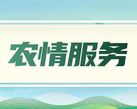 零钱不难办 硬币有价值 ——中国农业银行汉阳支行营业室 积极为客户开展硬币零钱兑换服务 助力公众便捷生活