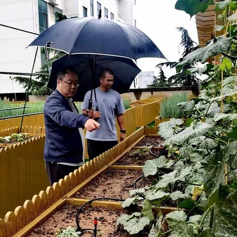 纪检小菜园之----说一说咱纪委的“小菜园”