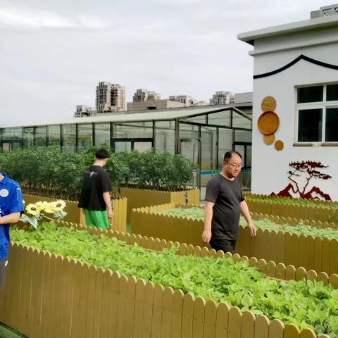 纪检小菜园之----“松土人”