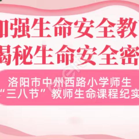 加强生命安全教育，揭秘生命安全密码——洛阳市中州西路小学师生“三八节”教师生命课程纪实