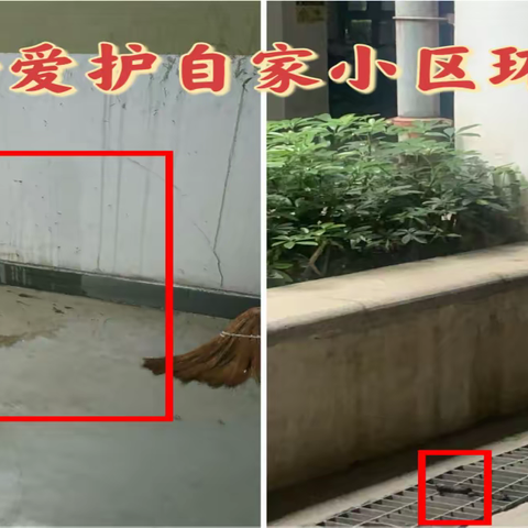 英伦豪城（一期）2024年2月份工作简报