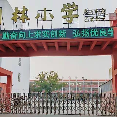 爱在花开季，情暖三八节——构林镇构林小学欢度“三八”女神节