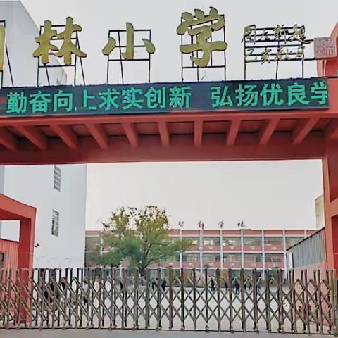 深入教研聚智慧，复习研讨促成长——构林镇六月份主题教研活动在构林小学举行