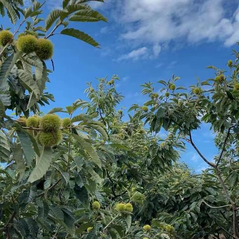 慰问“送清凉”，关怀沁人心