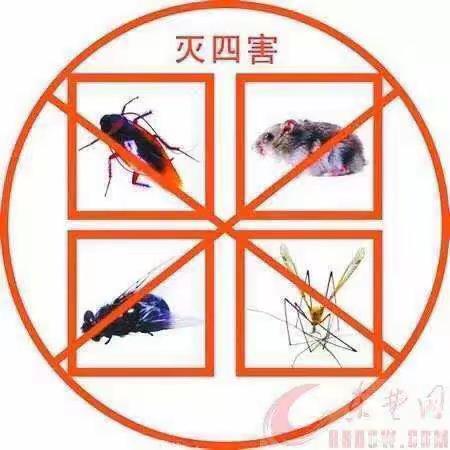 病媒生物防制，我们在行动——博雅小学病媒防治进行时