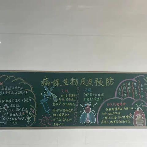 垃圾分类，保护健康～博雅小学病媒生物防治工作宣传篇