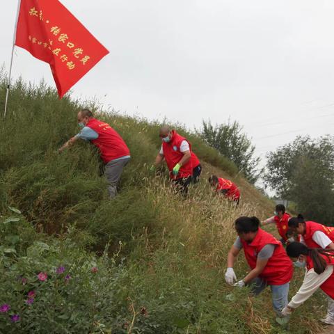 市七里山公园事务中心在公园周边区域开展“为民办实事 清除蒿草垃圾”志愿服务活动