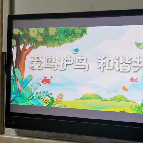 守护蓝天精灵，共筑生态家园——西安滨河荣华实验小学开展爱鸟护鸟系列活动