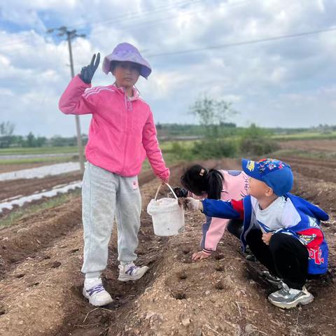 我为山河代言-种植希望，守护土地