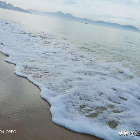 梵高的海2808