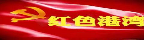 党建引领办实事    务实高效供销人