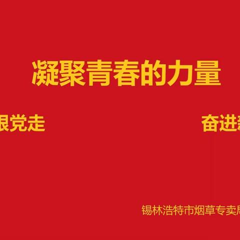 凝聚青春的力量--永远跟党走 奋进新征程