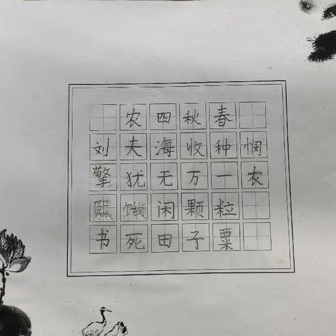 提笔即练字，习惯自小成———铁牛小学二（七）硬笔书法展示