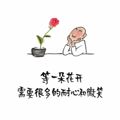 等风来，等花开