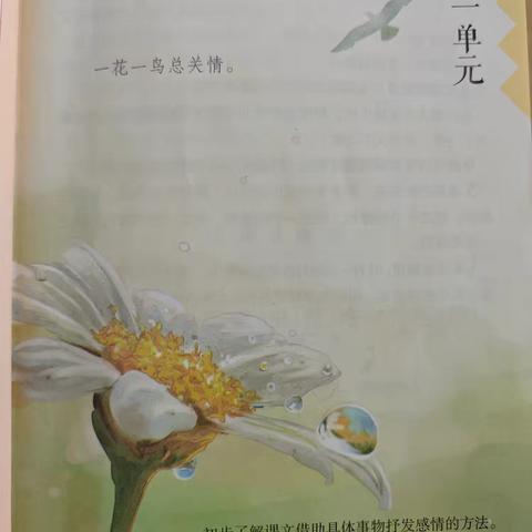 一花一鸟总关情 借景抒情情更浓——单县舜师路小学五年级语文综合实践活动展示