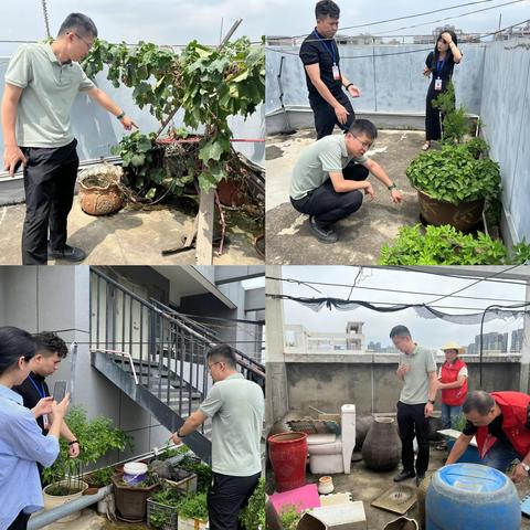 镇纪委深入开展登革热防控督查工作