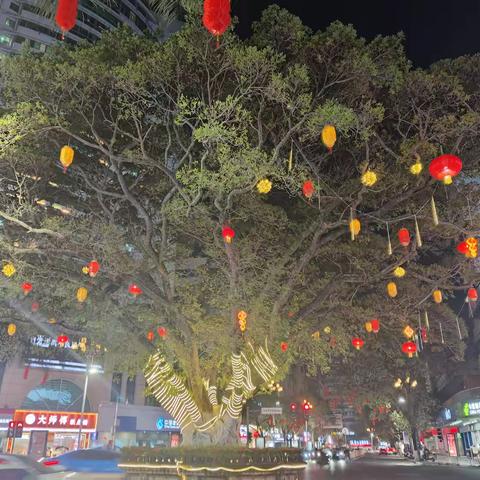 大红灯笼高高挂   辞旧迎新换新颜