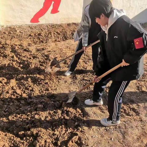 松土翻地，以劳为美——邢湾中学劳动实践基地实践活动