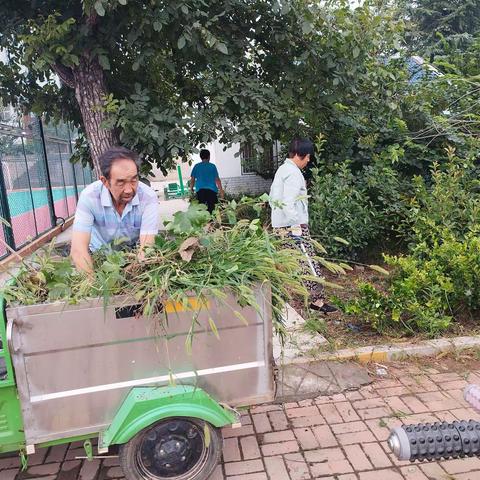 人居环境大整治 刷新夏日“新颜值”——西工区红山街道持续在行动