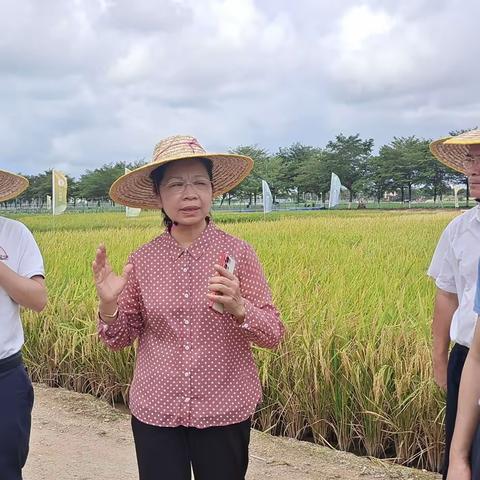 省政协副主席蒙晓灵率队赴三亚市和陵水县调研