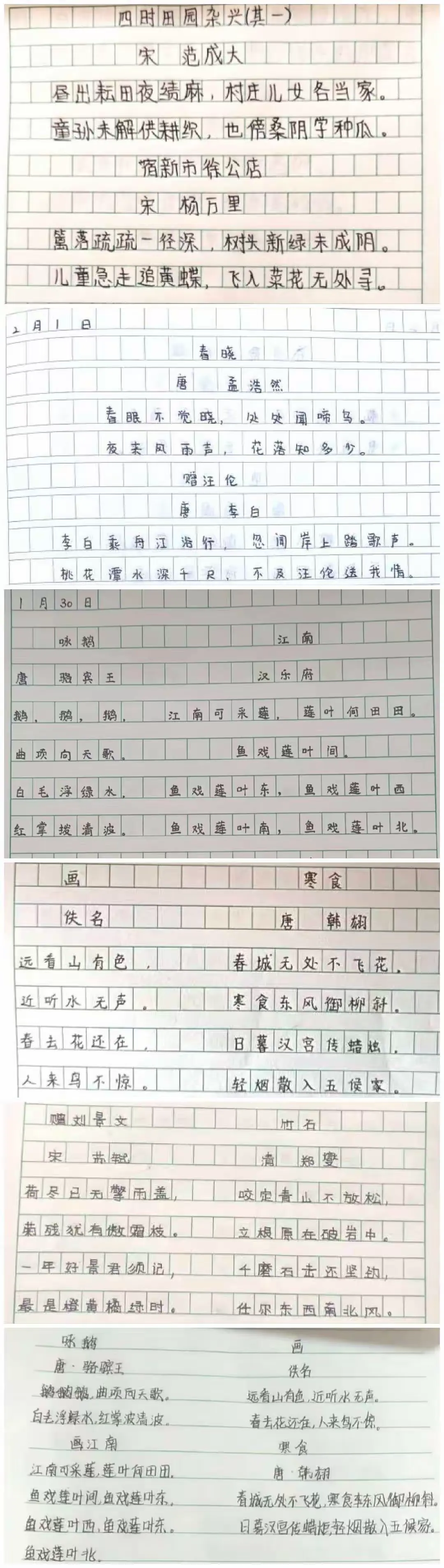 简篇-作业展评亮风采 快乐分享树榜样——城东小学六年级寒假作业展评