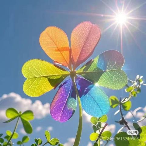 坚守师德初心 筑牢师风红线——幼儿园教师师德警示教育篇