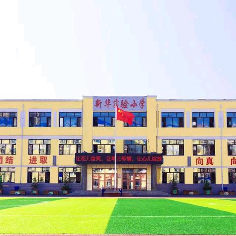 【新华•整本书阅读成果】课堂为基 活动赋能 评价护航——延寿县新华实验小学整本书阅读工作阶段总结