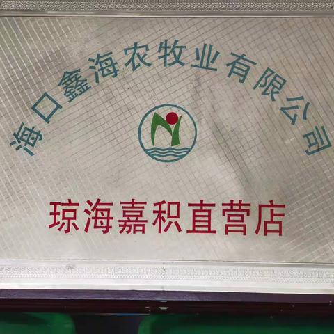 鑫海农精英—徐月楷