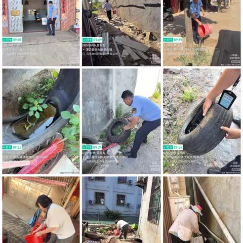 桥头镇深入开展爱国环境卫生整治 筑牢蚊媒防控坚固防线