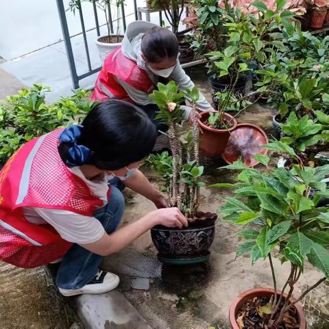 三亚中心医院开展党员“双报到”志愿服务暨预防登革热爱国卫生运动