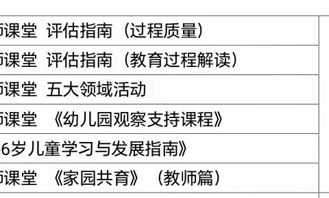 盛夏美如斯，成长恰逢时——莲湖区第十一幼儿园暑期年级组长培训活动（五）