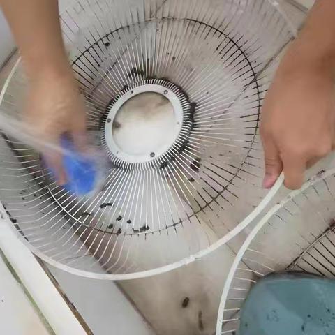 劳动创趣成长行 明志小学六年级五一劳动实践活动