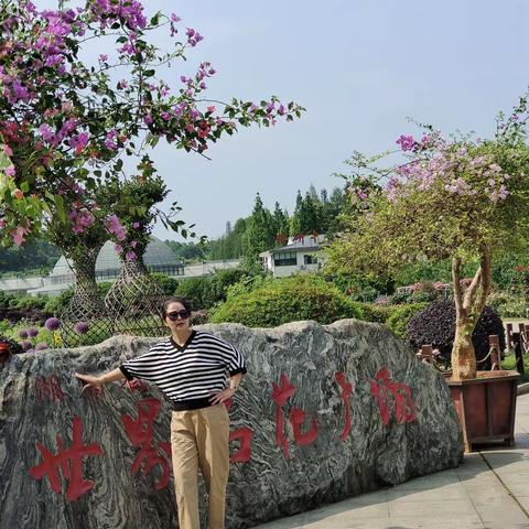 花的海洋一湖南省植物园