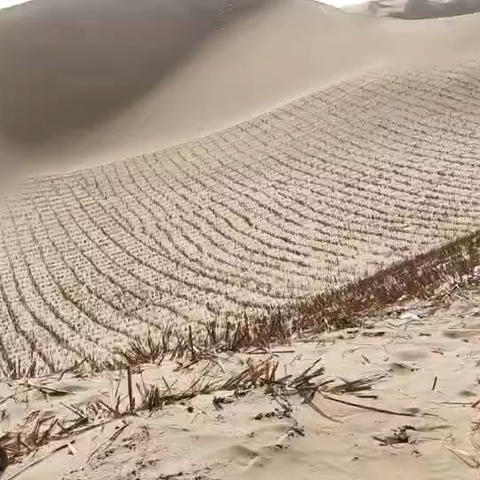 南疆行第十四天