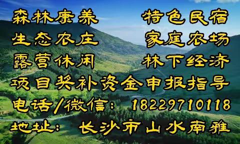 森林康养项目资金申报指导