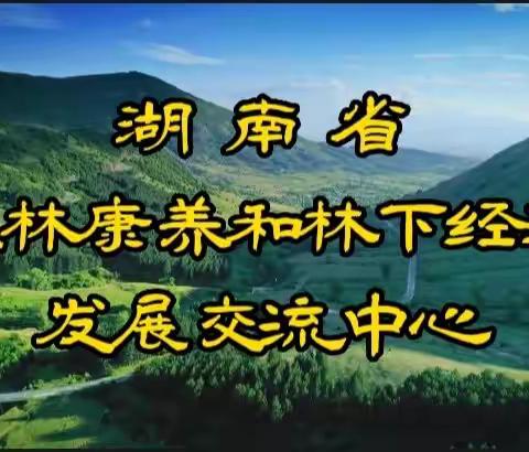 特色民宿项目申报指导