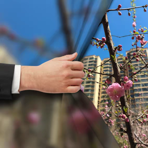 新康花园2025年第一季度工作简报