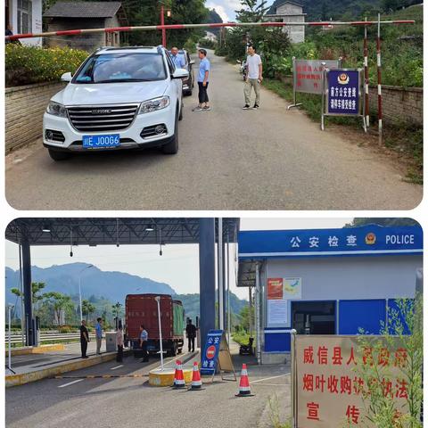 威信县局重拳出击 查获无证运输烟叶大要案一起