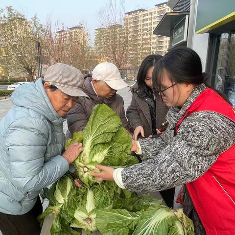 凤华路北社区“白菜纳百福，情暖小寒天”惠民活动