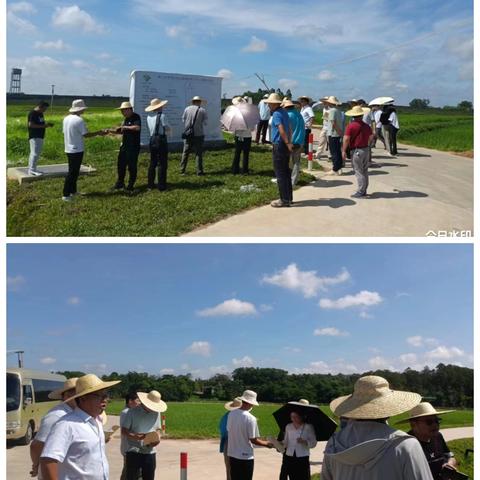 海口市秀英区东山镇城西村卜井土地整治项目竣工验收