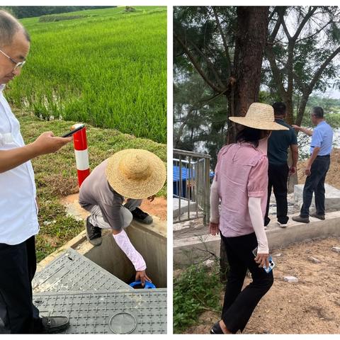 海口市秀英区东山镇东升村谭礼-美太坡土地整治项目（一期）竣工验收