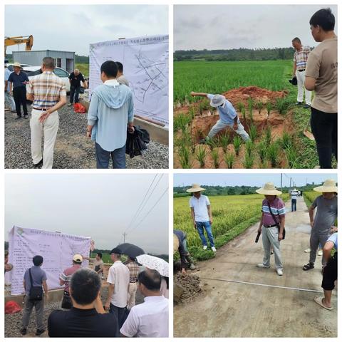 海口市秀英区东山镇东升村谭礼-美太坡土地整治项目（二期）及海口市秀英区石山镇道堂村博昌土地整治项目自验