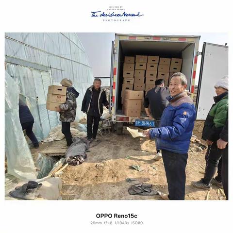 【榆山街道刘官庄村】开展“大棚栽苗忙 西瓜产业旺”